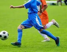 镜报,遭遇双重挫,瓜迪奥拉聚,鸿发彩票开奖查询,开奖结果,互动预测平台,实时开奖,手机开奖查询