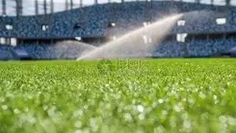 巴西国家队3月备战计划：7日集结，21日对垒哥伦比亚，26日对抗阿根廷