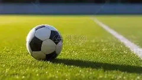 法比奥四球闪耀国安，与卡扎并列射手榜，梅州之战独占鳌头！