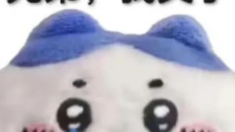 施羅德正處適應期，預計將為球隊帶來勝利力量